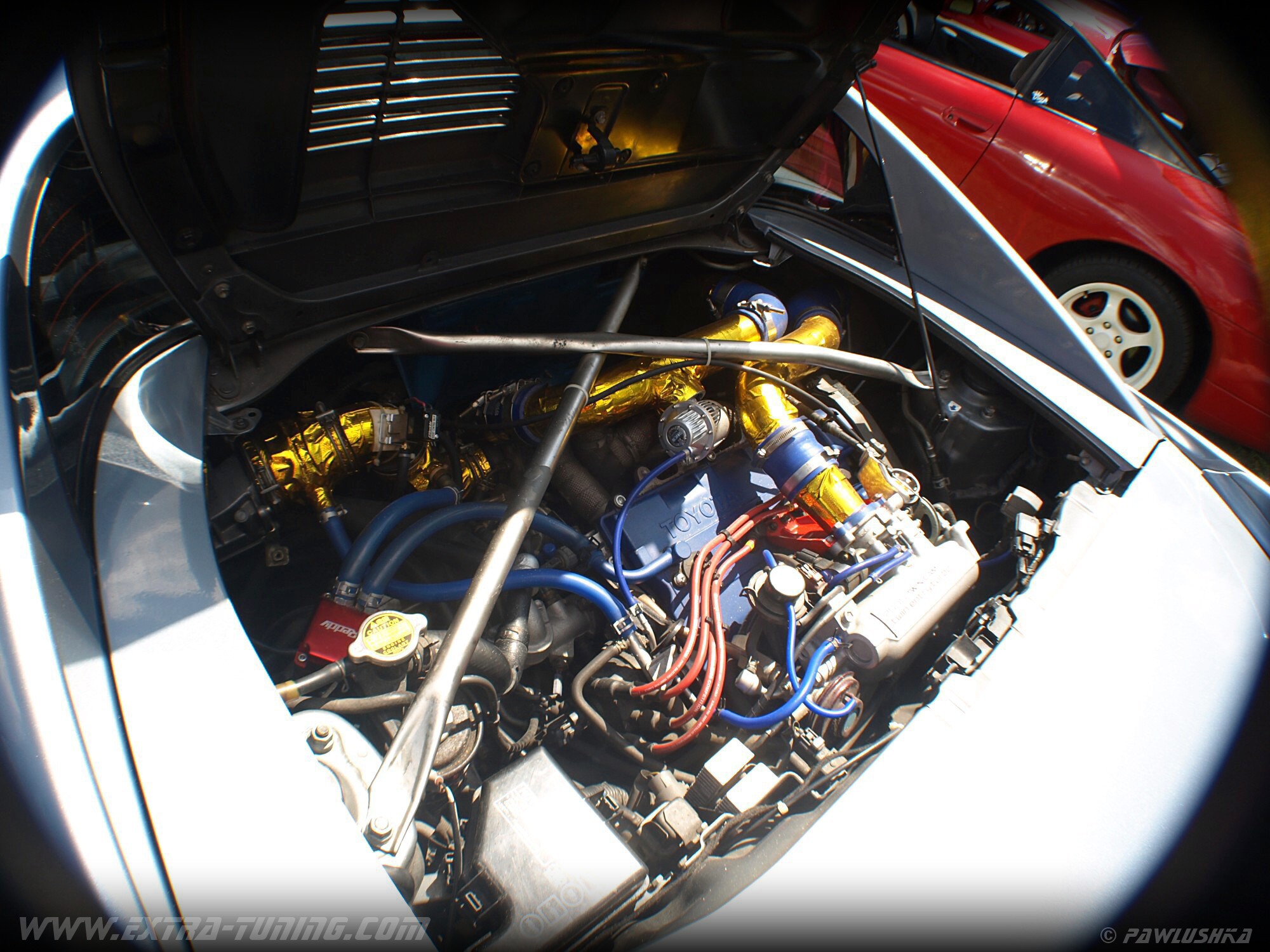 OLYMPUS DIGITAL CAMERA